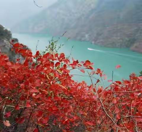 已是满山红叶时——2017高速带你去旅游社会监督员交流活动速记