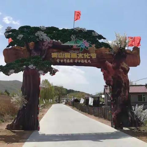 花开胜似香雪海        芬芳四溢遍山涧      ——游安山贡梨园