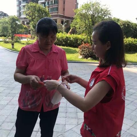 关爱流浪者，社区在行动