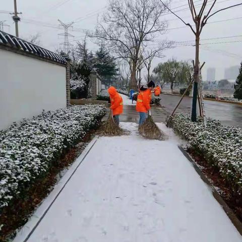 中韩街道雨雪天气应急行动