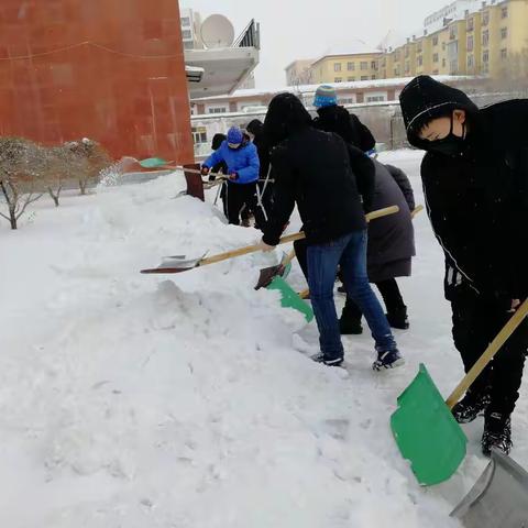 南开路小学开展“爱我校园”清扫校园积雪的活动