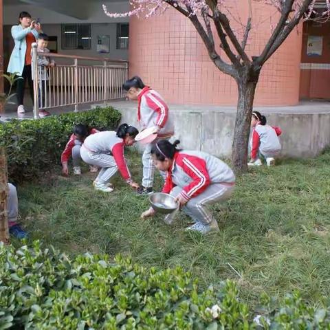 镇安县永乐街道办事处中心小学举行“植树节”主题活动