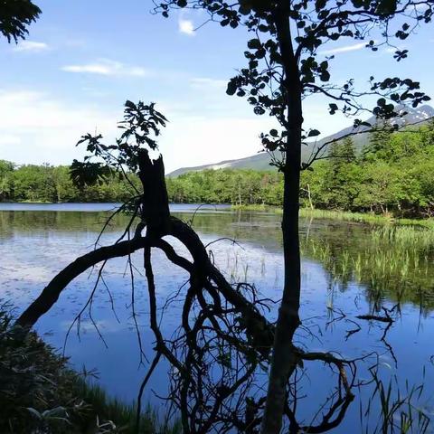 北海道 (五) 知床八景