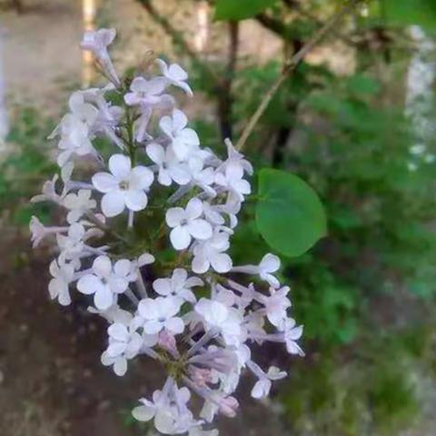 遇见，最好的时光——送给即将走上新岗位的丹丹