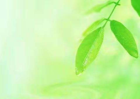 辽阳县刘二堡镇河北小学举行 “青苗工程”师徒结对仪式