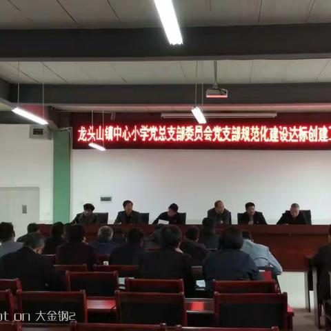 龙头山镇中心小学党总支部委员会召开党支部规范化建设达标创建工作推进会