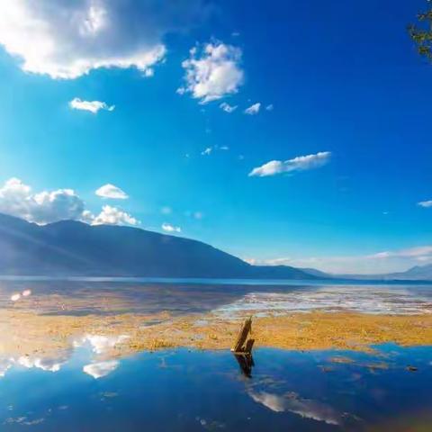 梦中的香格里拉