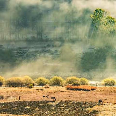 川西行之二-----新都桥