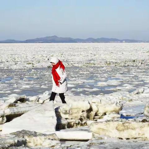 冻 海 冰 世 界