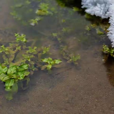 走进大泉沟