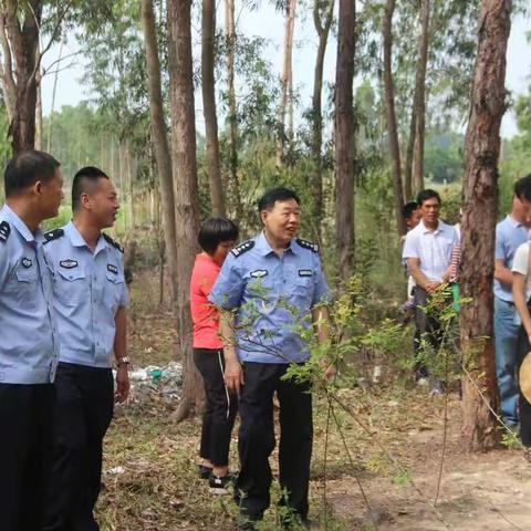 深入群众，走访教育—东方市森林公安局清明节期间森林防火工作系列四