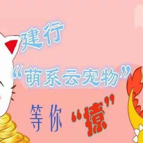 山东济宁曲阜师范大学支行积极开展“云宠物”营销推广活动