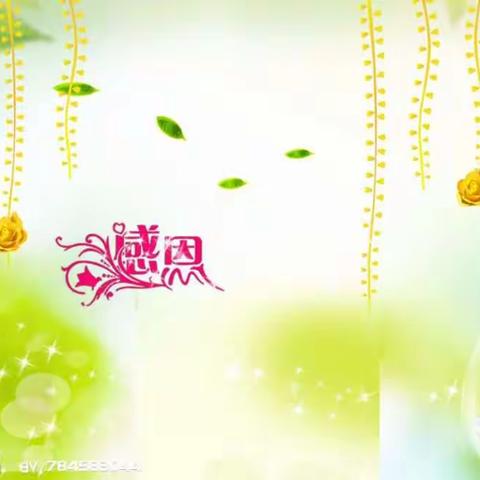 感恩节到了，谢谢可爱的菜粉们！