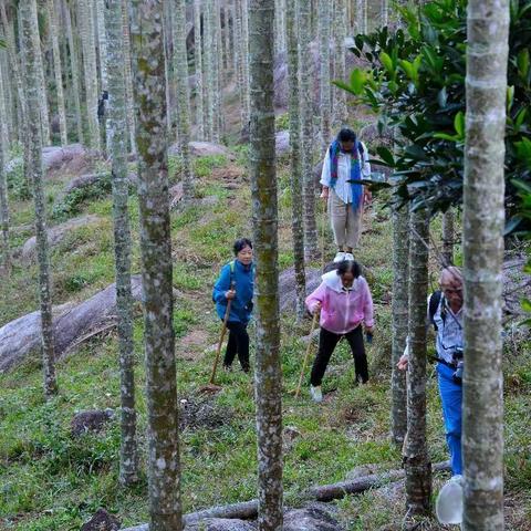 相约三亚过个冬（3）前哨登山