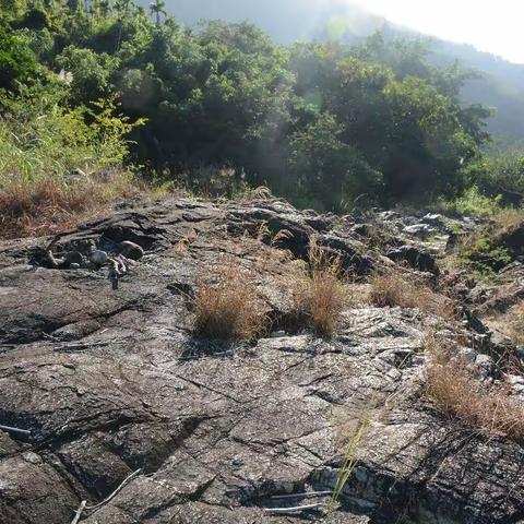 相约三亚过个冬（5）涉水小溪
