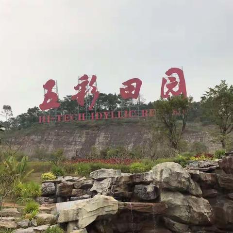 我的美篇