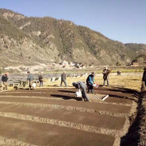 新龙林业局加力推进生态文明建设种苗基地项目的实施