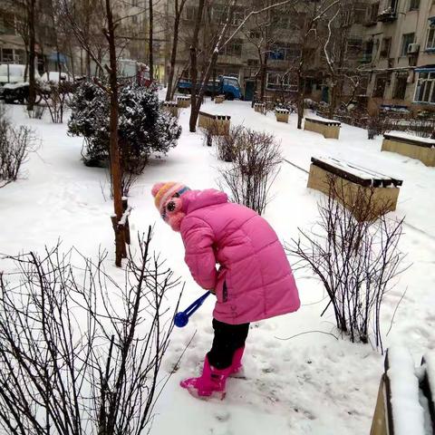 冬天的沈阳终于见到雪了！