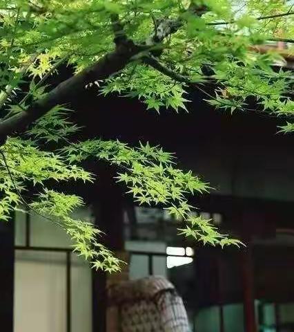 最值得记住的十句古诗词！