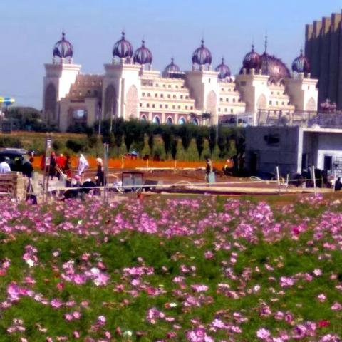 沈北花海公园一游