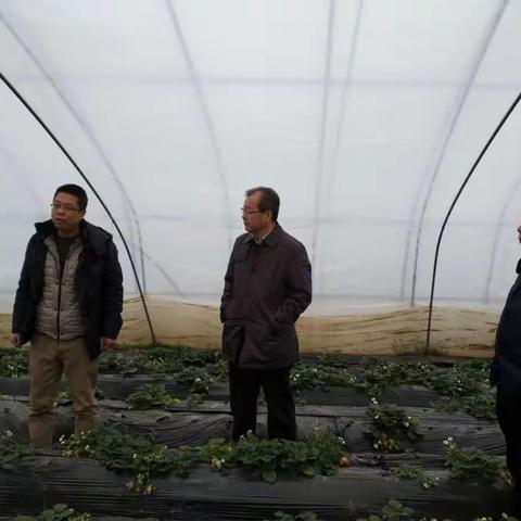 检查指导搞自救，研讨交流抓落实