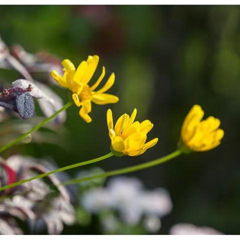春暖花开