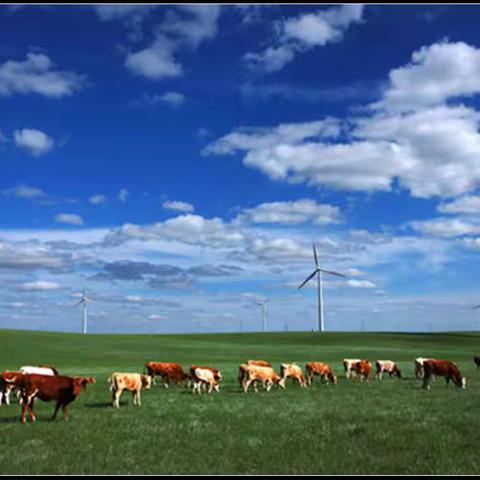 达达——热阿线路书