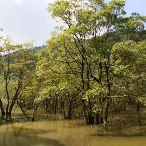 尼尔湖畔的美好回忆
