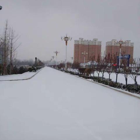 雪中行——东合村小学