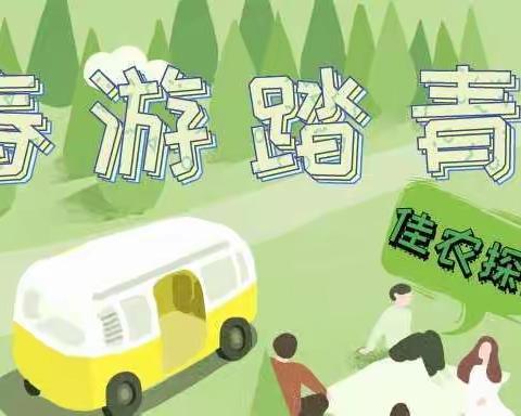 疫情退散，来一场说走就走的旅行……让我们一起相约南通野生动物园！