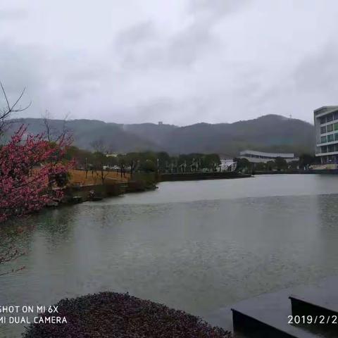 下雨的日子（原创图文）