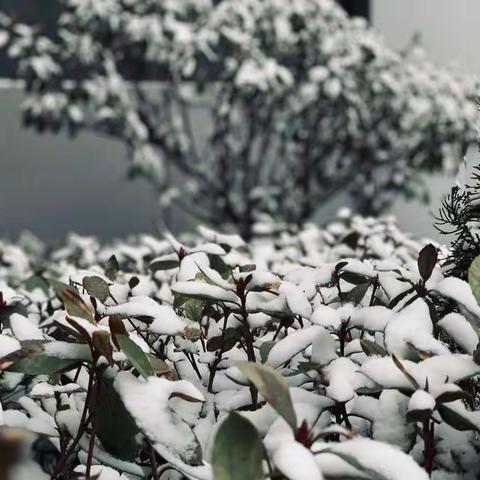 冬日齐扫雪，热情暖人心