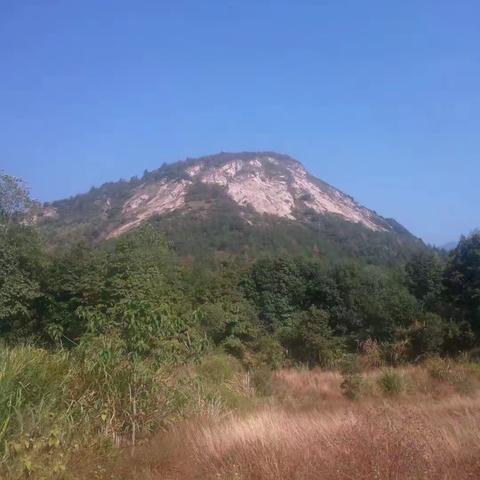 谷满“鸡笼山”