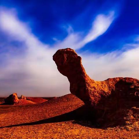 新疆的这个无人区里，却藏着一个让世界都震惊的景观——大海道！