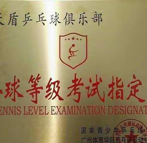 泰山天盾乒乓球俱乐部训练班招生中