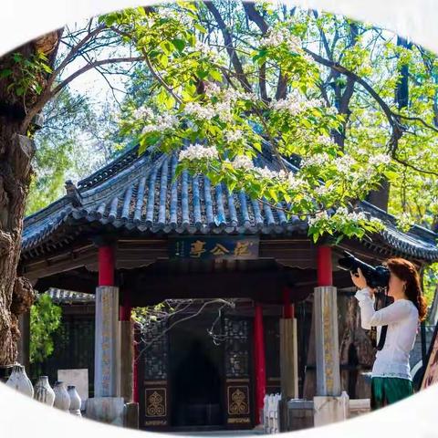 春思