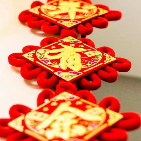 2018新春随拍