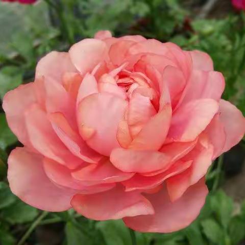 北京市医保报销规定---2019年看病报销新变化