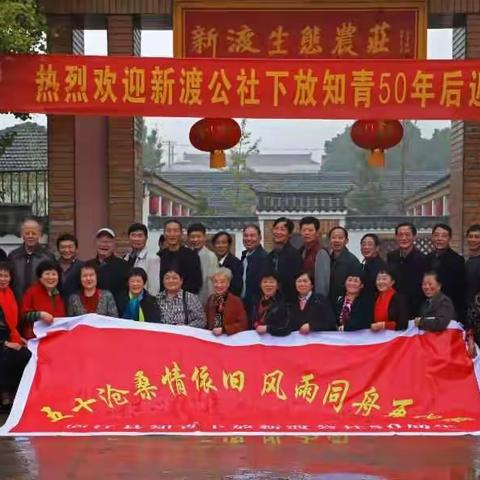 五十载沧桑情依旧，风雨同舟再相聚。