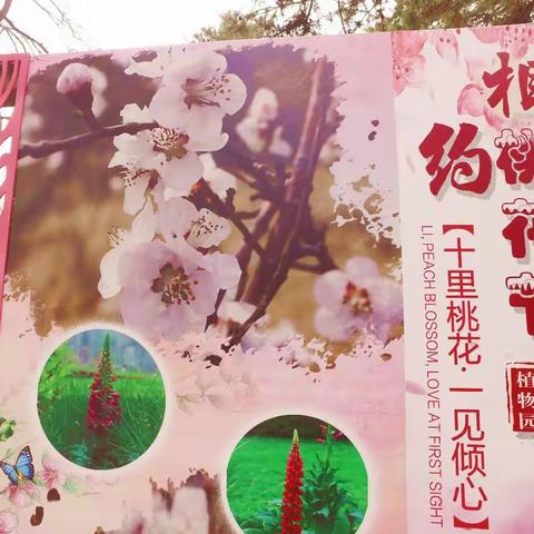 草长莺飞时节