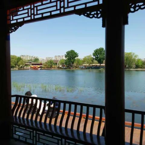 闹中取静的北京西海湿地公园