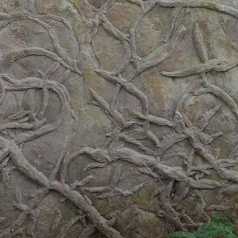 精美图纹    自然天成