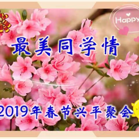 最美同学情----2019年春节兴平聚会