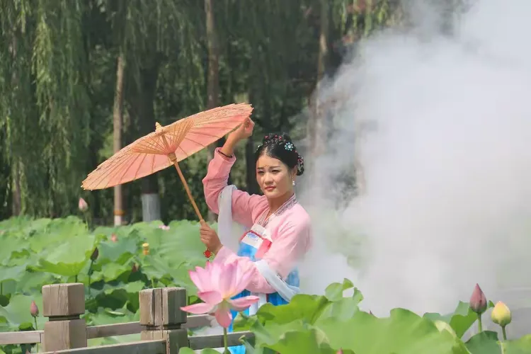 美女翩翩而来，荷花正在盛开