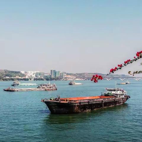 我爱我家——“最美藤县”原创网络作品大赛