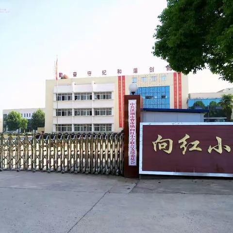 向红小学第一届篮球队赛事剪影