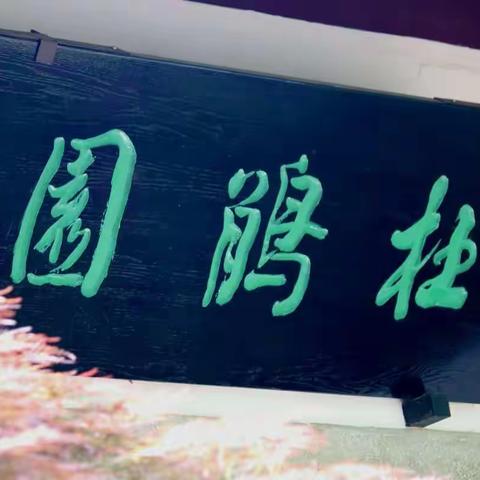 独步寻花杜鹃园