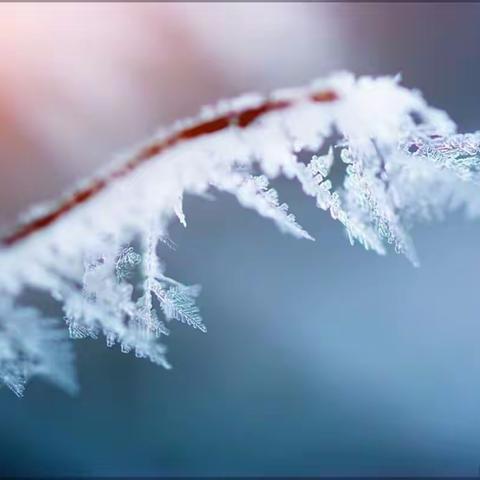内蒙古呼伦贝尔+中国最北漠河9日冰雪行摄之旅