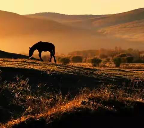 新藏线219国道--玩耍我们是认真的