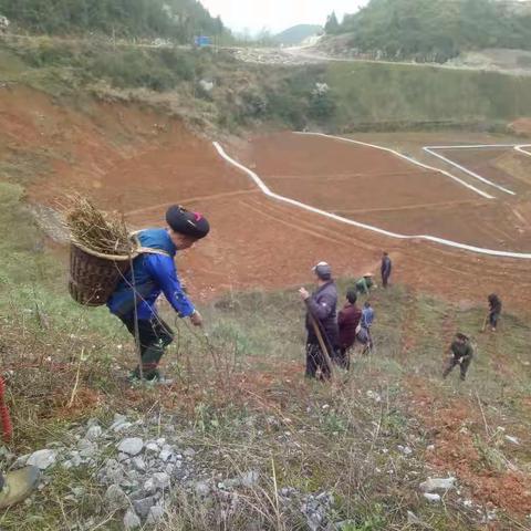 致力集体经济，实现稳定脱贫